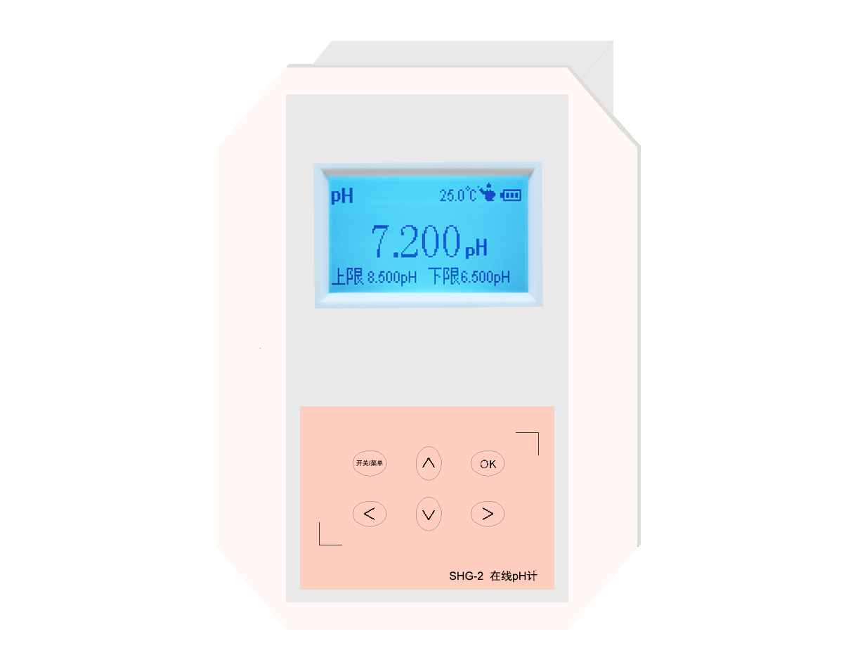 SXG-2、SXG-1型 離子計(jì)(在線)